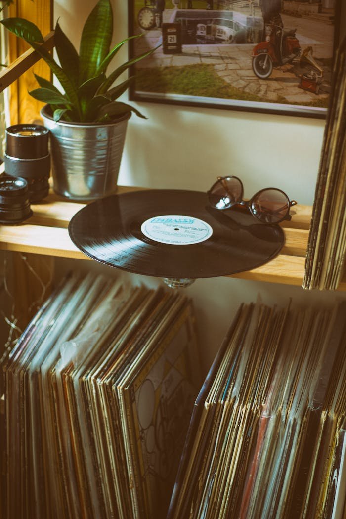 Vintage shelf with vinyl records, sunglasses, and a potted plant adding a retro vibe.